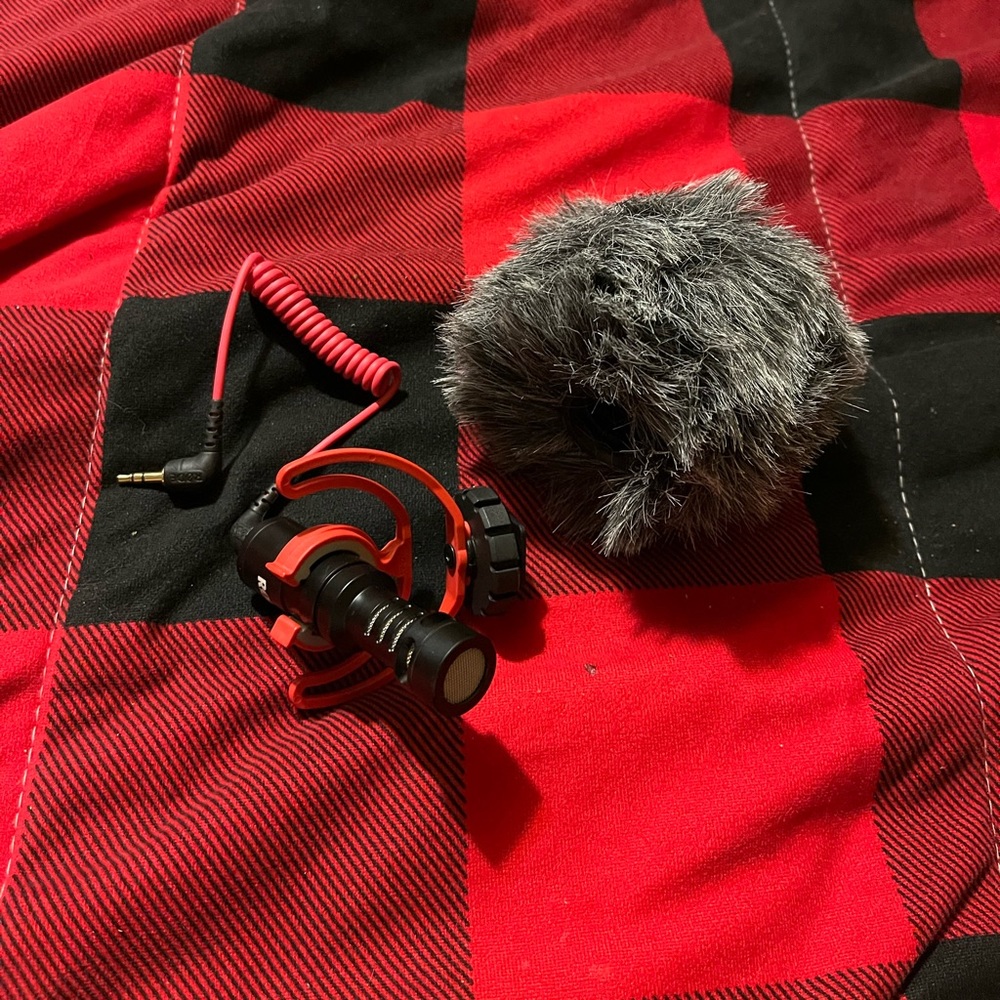 Camera microphone